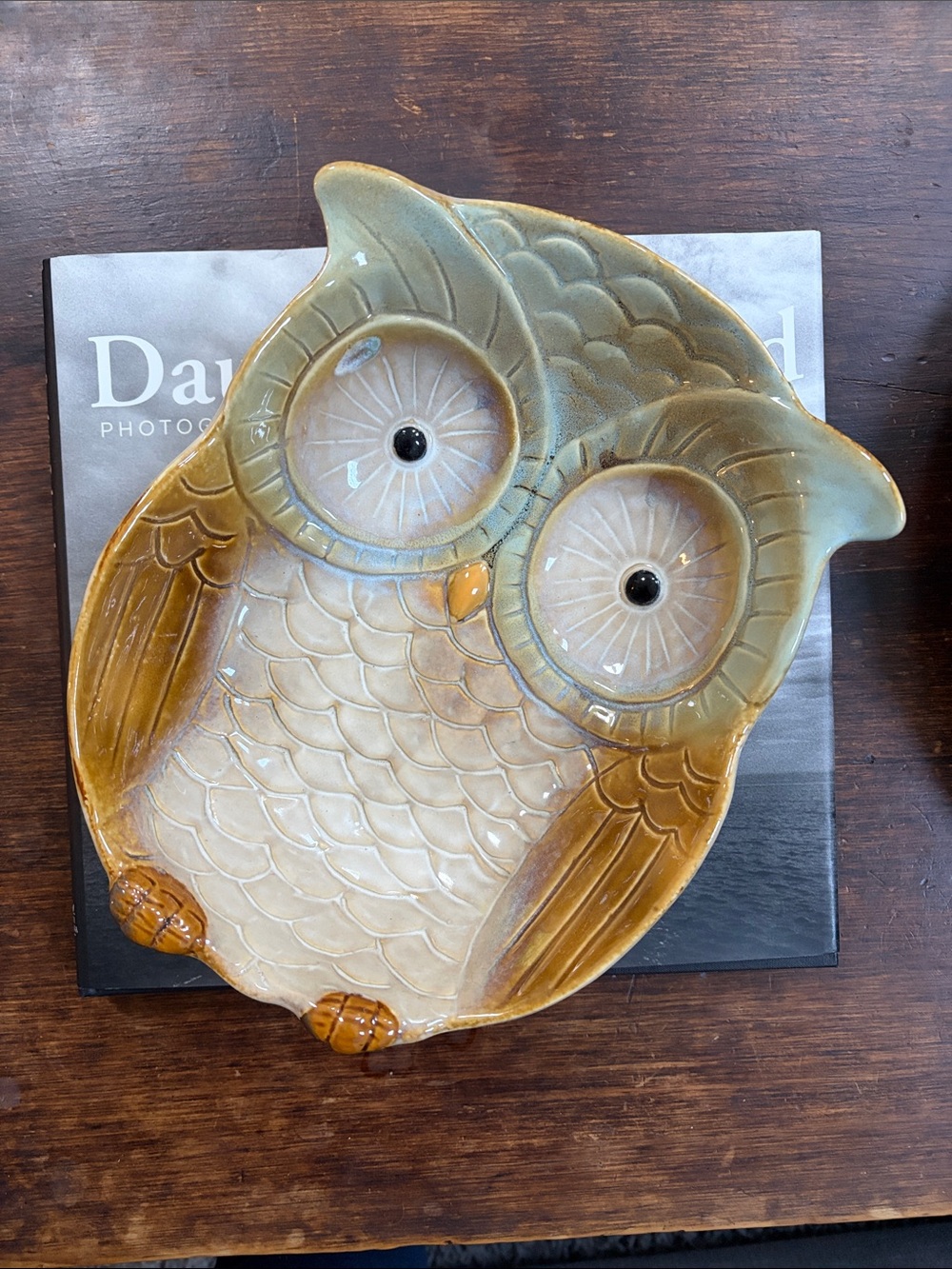 Ceramic Owl Serving Dish in Green and Brown